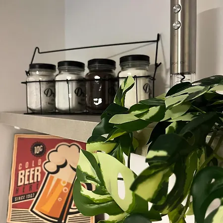 Vibe Loft - Centro Storico Apartment Genoa